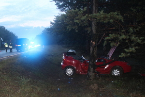 Rozbity czerwony samochód Renault stoi obok drzewa