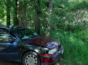 Pojazd zaparkowany w lesie.
