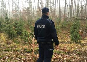 Policjant stoi w lesie patrząc w stronę choinek.