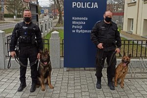 policjanci z psami przed budynkiem Komendy Miejskiej Policji w Bydgoszczy.
