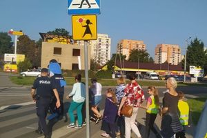 Polfinek i policjant przeprowadzają grupę dzieci przez przejście dla pieszych