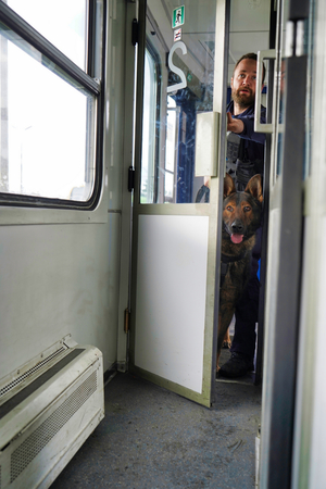policjant z psem wchodzą na korytarz pociągu uchylając drzwi