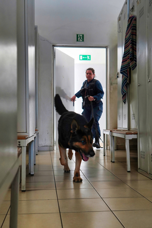 Pies wchodzi do pomieszczenia firmy. W tle policjantka.